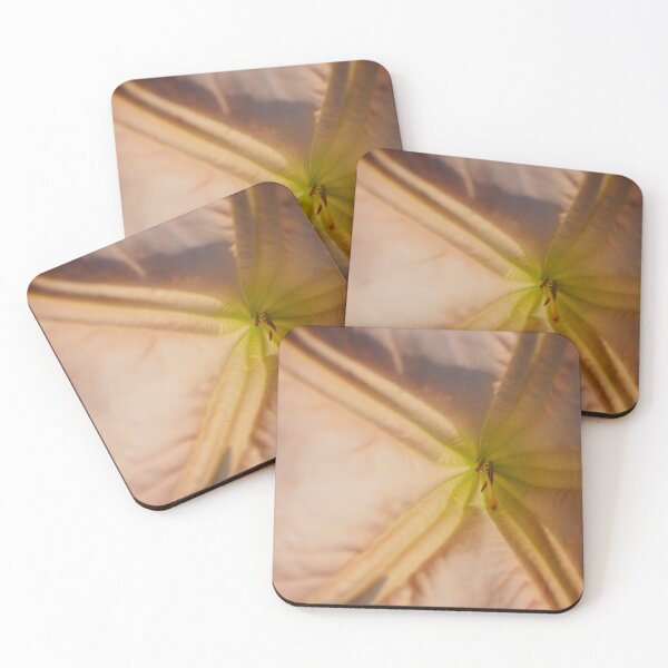 Item preview, Closeup of Flower designed and sold by kasthu.