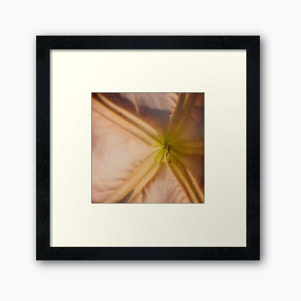 Item preview, Closeup of Flower designed and sold by kasthu.