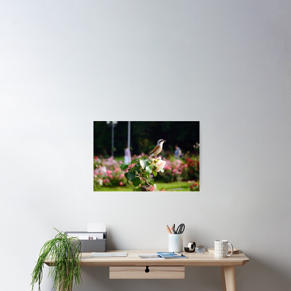 Item preview, Poster designed and sold by Mallorn.