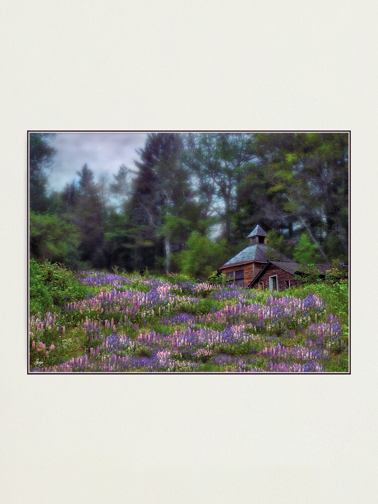 Alternate view of Cabin in the Lupine - Large Format Edition Photographic Print
