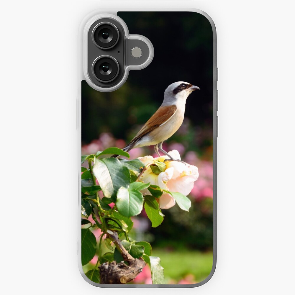 Item preview, iPhone Soft Case designed and sold by Mallorn.