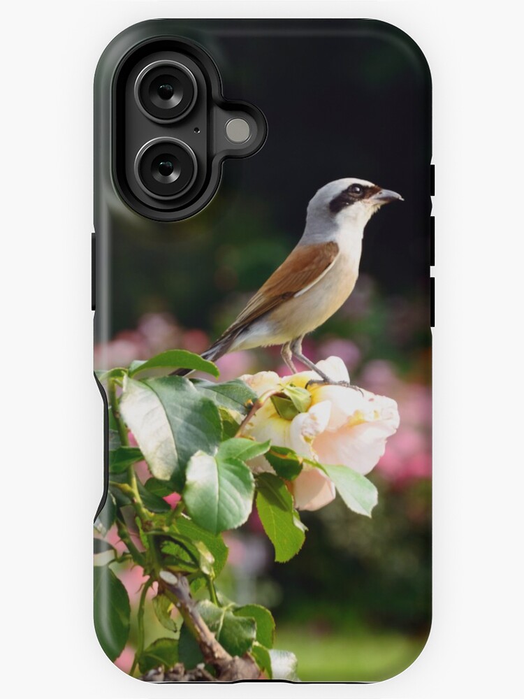 Thumbnail 1 of 4, iPhone Case, I Like Roses designed and sold by Mallorn.