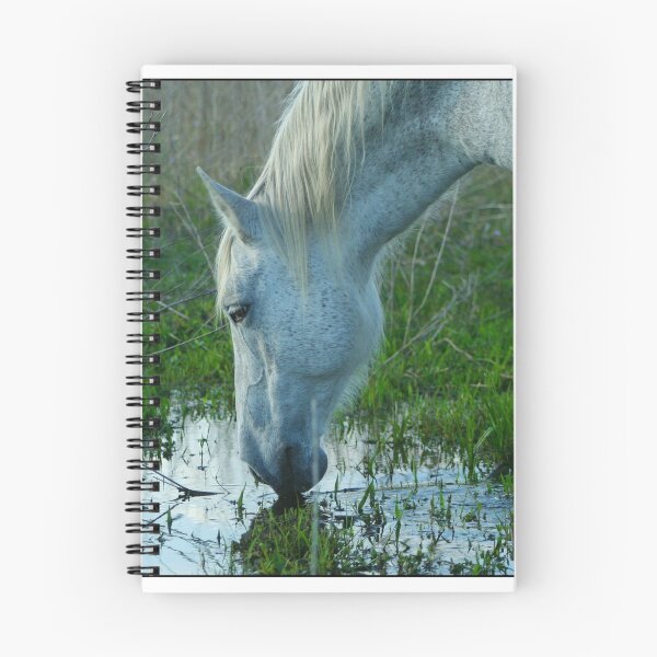 Item preview, Gray Stallion designed and sold by ecassell.