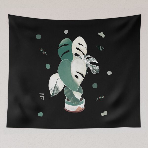 Item preview, Monstera Albo Minimal Style, Variegated Monstera, Monstera Deliciosa, Monstera Plant, Monstera variegated, Monstera variegata designed and sold by nanathaishop.