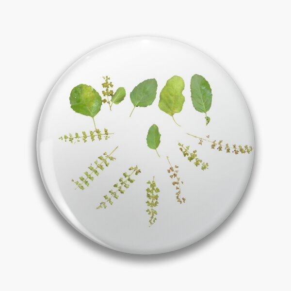Item preview, Basil leaves and seeds designed and sold by VeenaNair23.