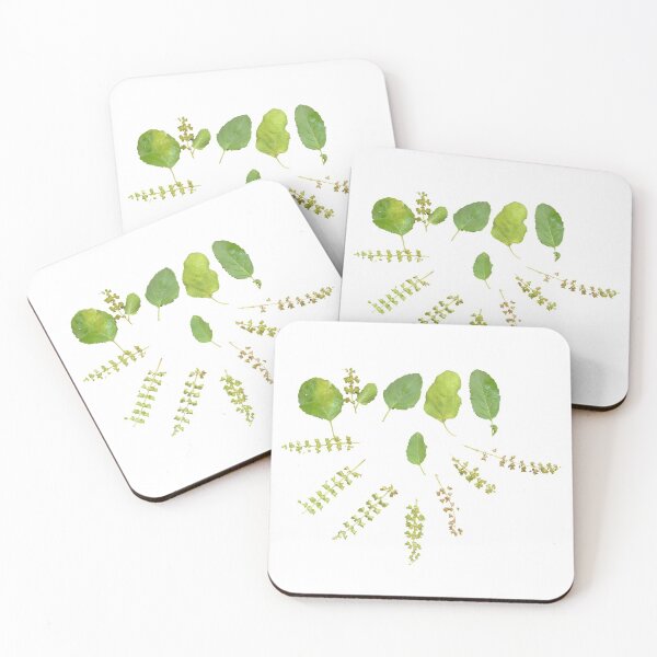 Item preview, Basil leaves and seeds designed and sold by VeenaNair23.