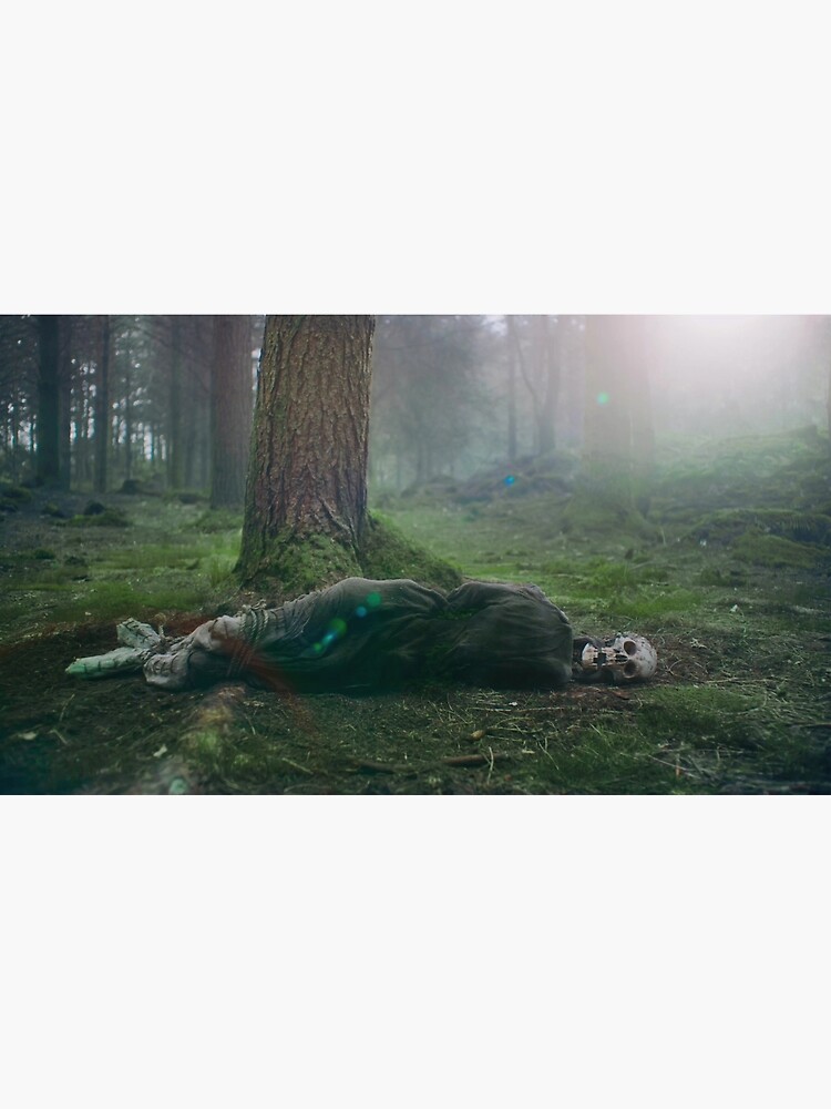 "The Green Knight Skeleton" Poster for Sale by ocddot Redbubble