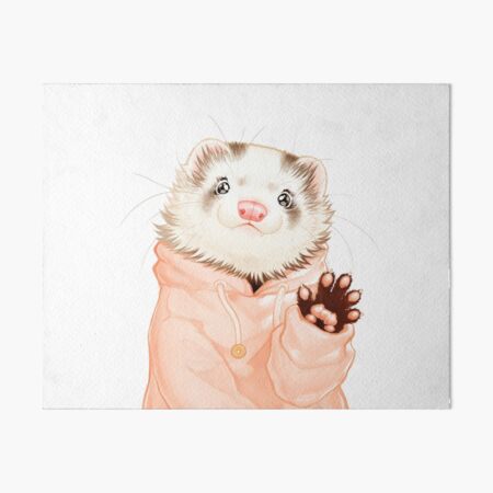Blaze Ferret
