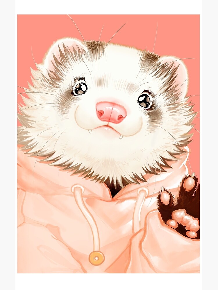 Blaze ferret