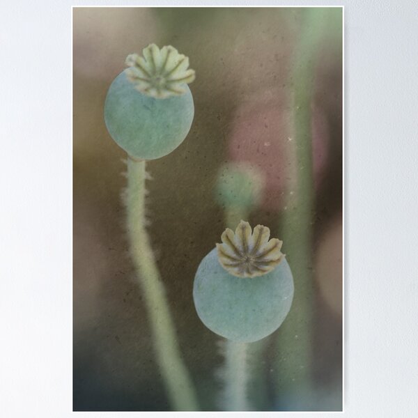 Item preview, Just the Two designed and sold by decorartuk.