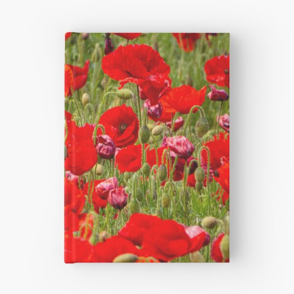 Item preview, large poppies designed and sold by kathleenjean.