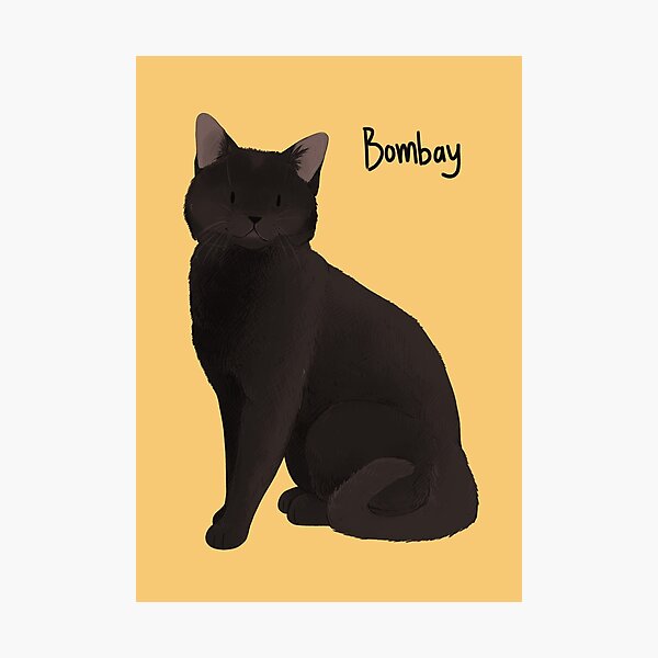 Item preview, Bombay Illustration designed and sold by xxmoon04xx.