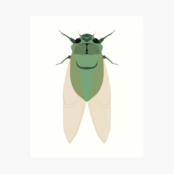 Cicada Art Print