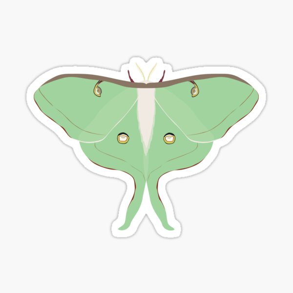 Luna Moth Sticker