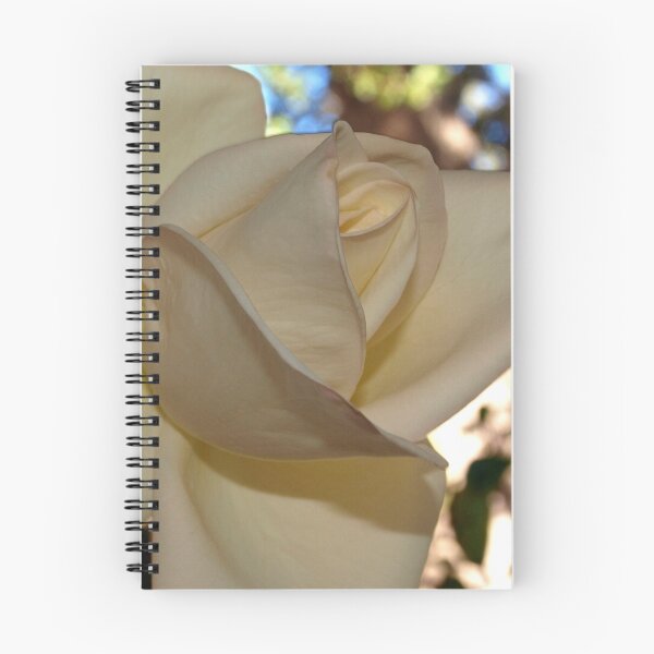 Item preview, Ivory rose against the sky designed and sold by B. Randi Bailey.