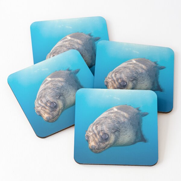 Item preview, Curious Seal designed and sold by Russell Charters.
