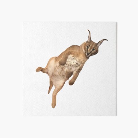 Big Floppa - Caracal meme cat / fat floppa / cursed floppa | Art Board Print