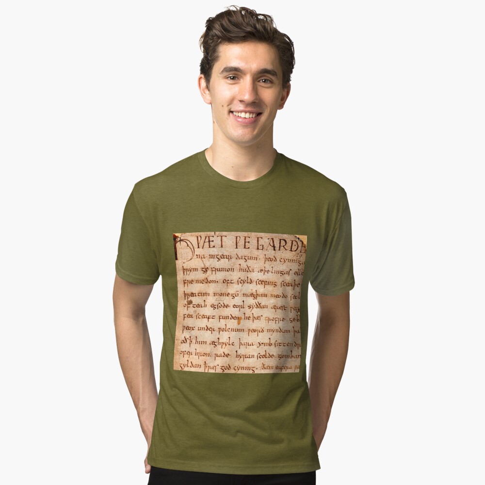 Item preview, Tri-blend T-Shirt designed and sold by Odinist.