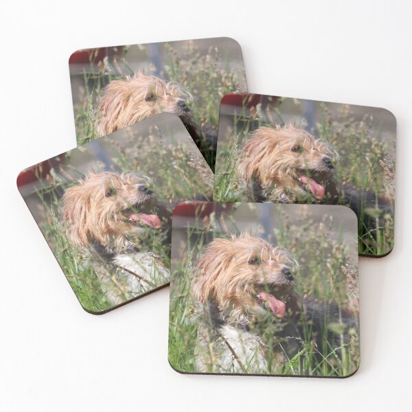 Item preview, Dog in long grass designed and sold by GreyFeatherPhot.