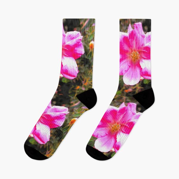 Item preview, Blossom Closeup  designed and sold by TM Art.