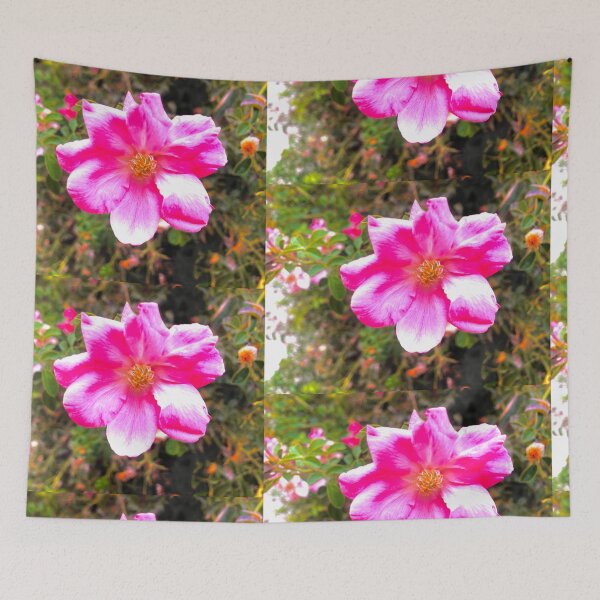 Item preview, Blossom Closeup  designed and sold by TM Art.