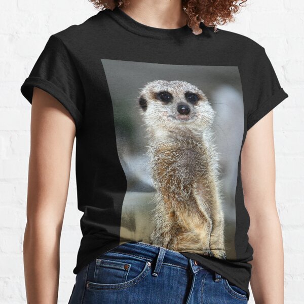 Sentry Duty Classic T-Shirt