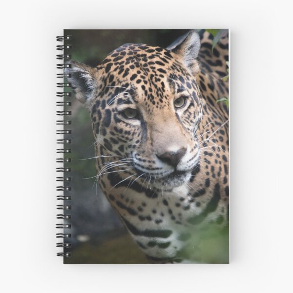 Artikelvorschau, Jaguar entworfen und verkauft von nancyjcreates.