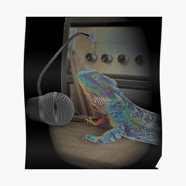 Bearded dragon rock music Poster
