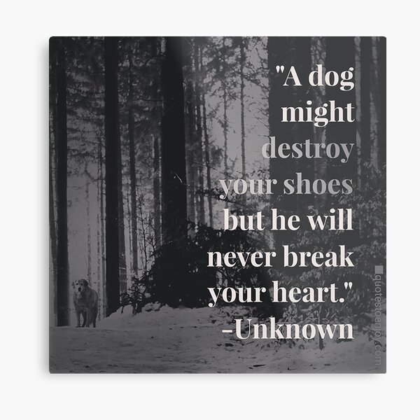 A dog might destroy your shoes but he will never break your heart. – Author Unknown Metal Print