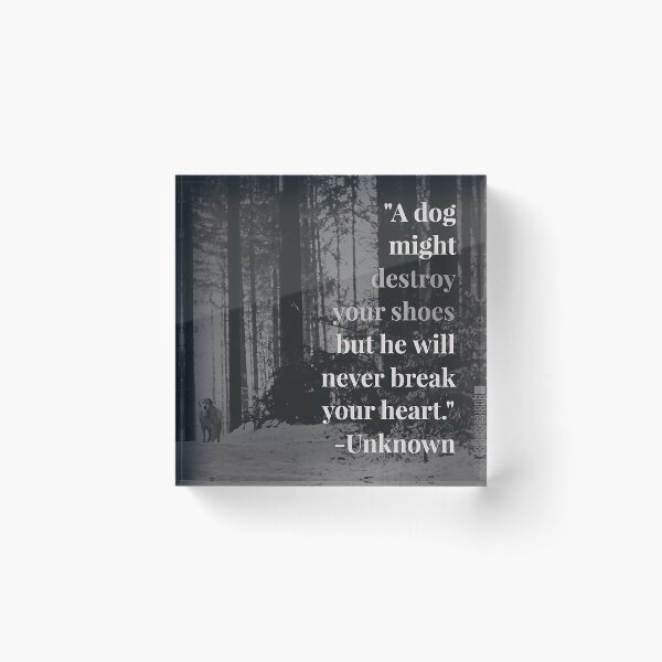 A dog might destroy your shoes but he will never break your heart. – Author Unknown Acrylic Block
