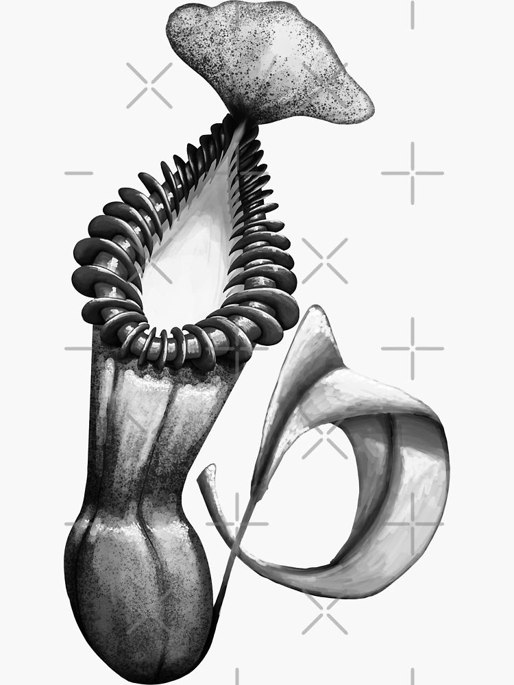 Carnivorous Flora Scientific Illustration Plate, Art Print, Venus Fly Trap,  Pitcher Plant, Botanical, Floral Illustration Minimalist Artwork - Etsy  Sweden