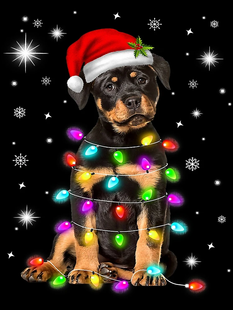 Hund Notizbuch Winterzeit Weihnachten Rottweiler mit 55 lustigen  Motivationssprüchen Lebensweisheiten Hundeliebe Geschenk Rottie Hunde -  Beau Barkside (Buch) – jpc
