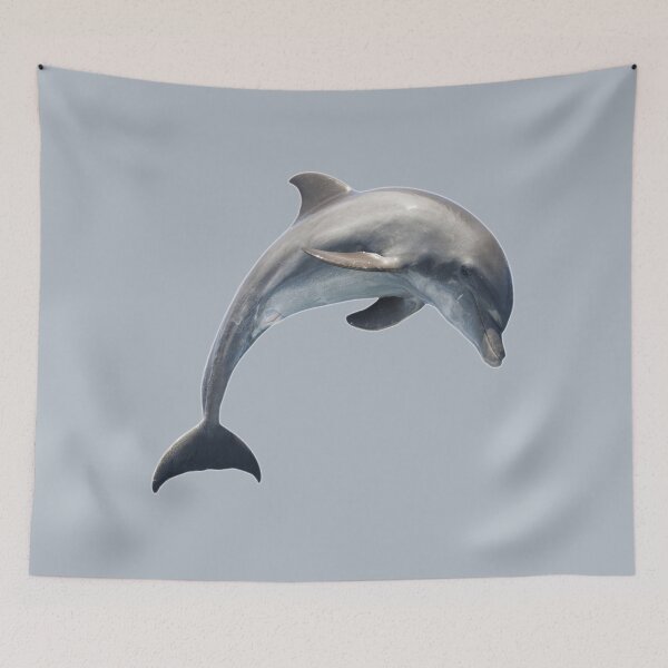Item preview, Black Sea Bottlenose Dolphin Jumping Out Of The Water designed and sold by Phantasmal-2-do.