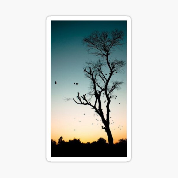 “tree wallpaper art” Sticker by NasimaSanar | Redbubble