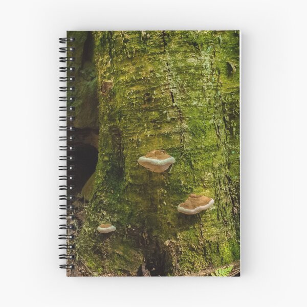 Item preview, Where the Faeries Live  designed and sold by Rebecca Bryson.