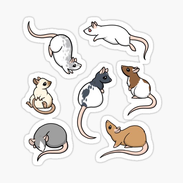 Rat Stickers Redbubble - cat and rat rp roblox