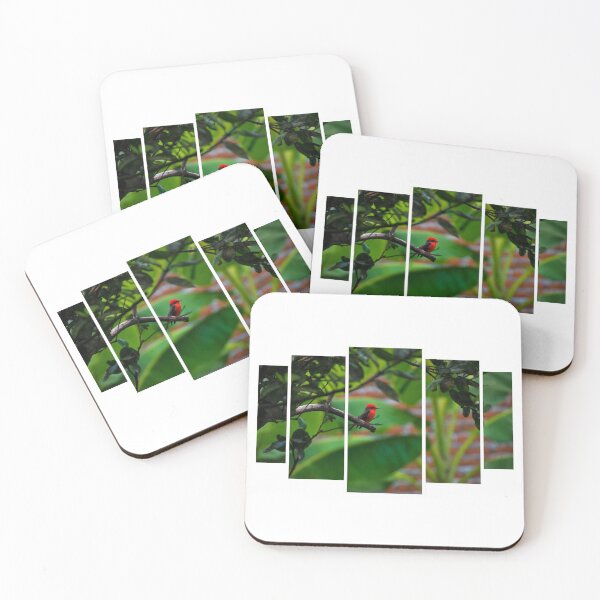 Item preview, Male Vermilion Flycatcher Pentaptych designed and sold by alabca.