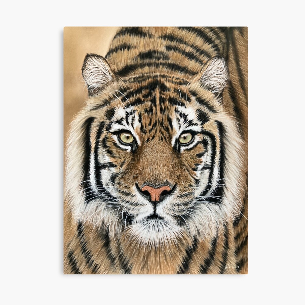 White Bengal Tiger - 3D Lenticular Postcard Greeting Card