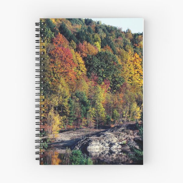 Item preview, Colorful Autumn Forest Scene designed and sold by JoyforU.
