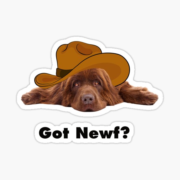 Got Newf with Brown Newfie Sticker