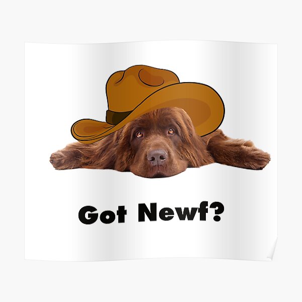Got Newf with Brown Newfie Poster