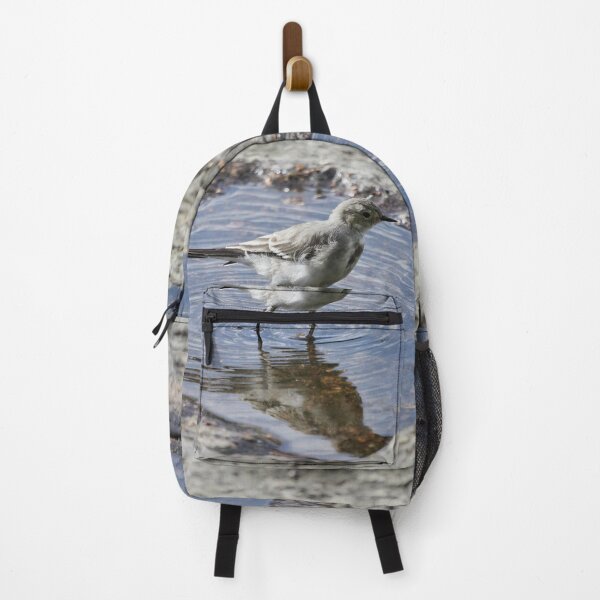 Item preview, The Young one. White wagtail designed and sold by Jouko Lehto Photography.
