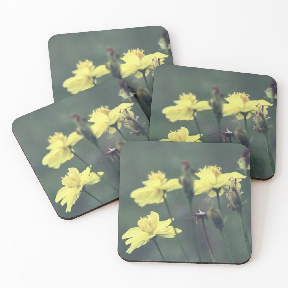 Item preview, Coasters (Set of 4) designed and sold by KookDesignZ.