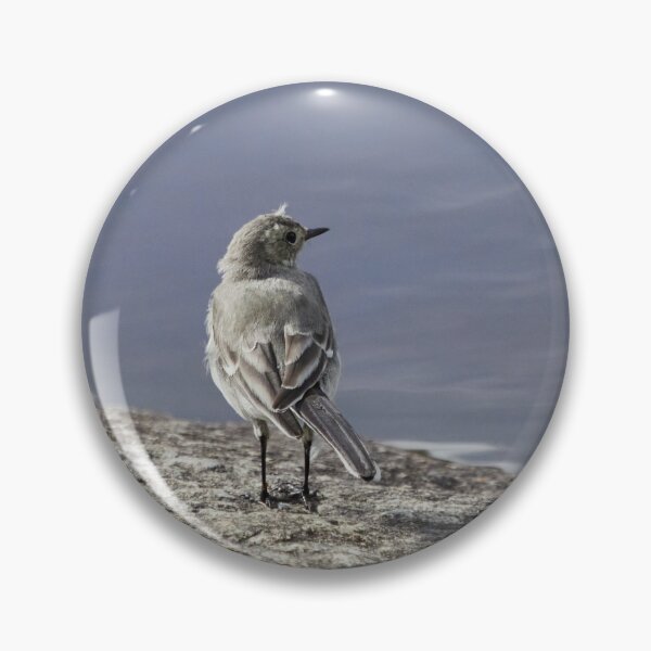 Item preview, Wanting to be somewhere else. White wagtail designed and sold by Jouko Lehto Photography.