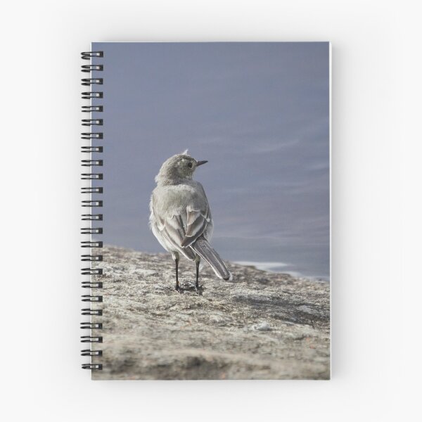 Item preview, Wanting to be somewhere else. White wagtail designed and sold by Jouko Lehto Photography.