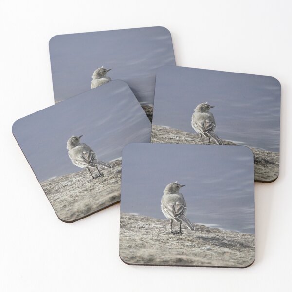 Item preview, Wanting to be somewhere else. White wagtail designed and sold by Jouko Lehto Photography.