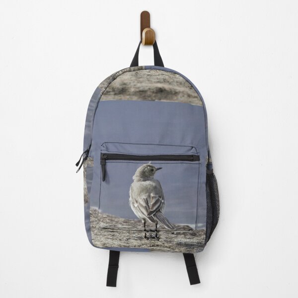 Item preview, Wanting to be somewhere else. White wagtail designed and sold by Jouko Lehto Photography.