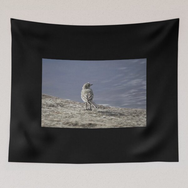 Item preview, Wanting to be somewhere else. White wagtail designed and sold by Jouko Lehto Photography.