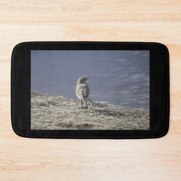 Item preview, Wanting to be somewhere else. White wagtail designed and sold by Jouko Lehto Photography.