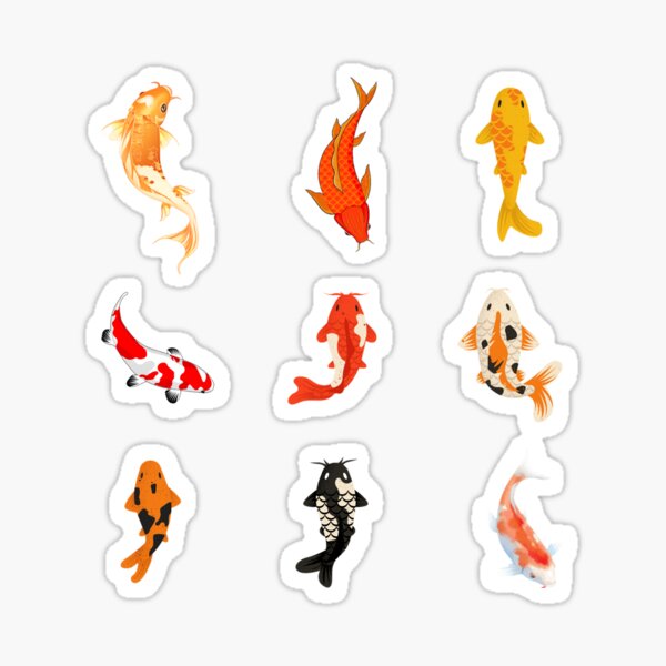 Koi Fish Pack Sticker